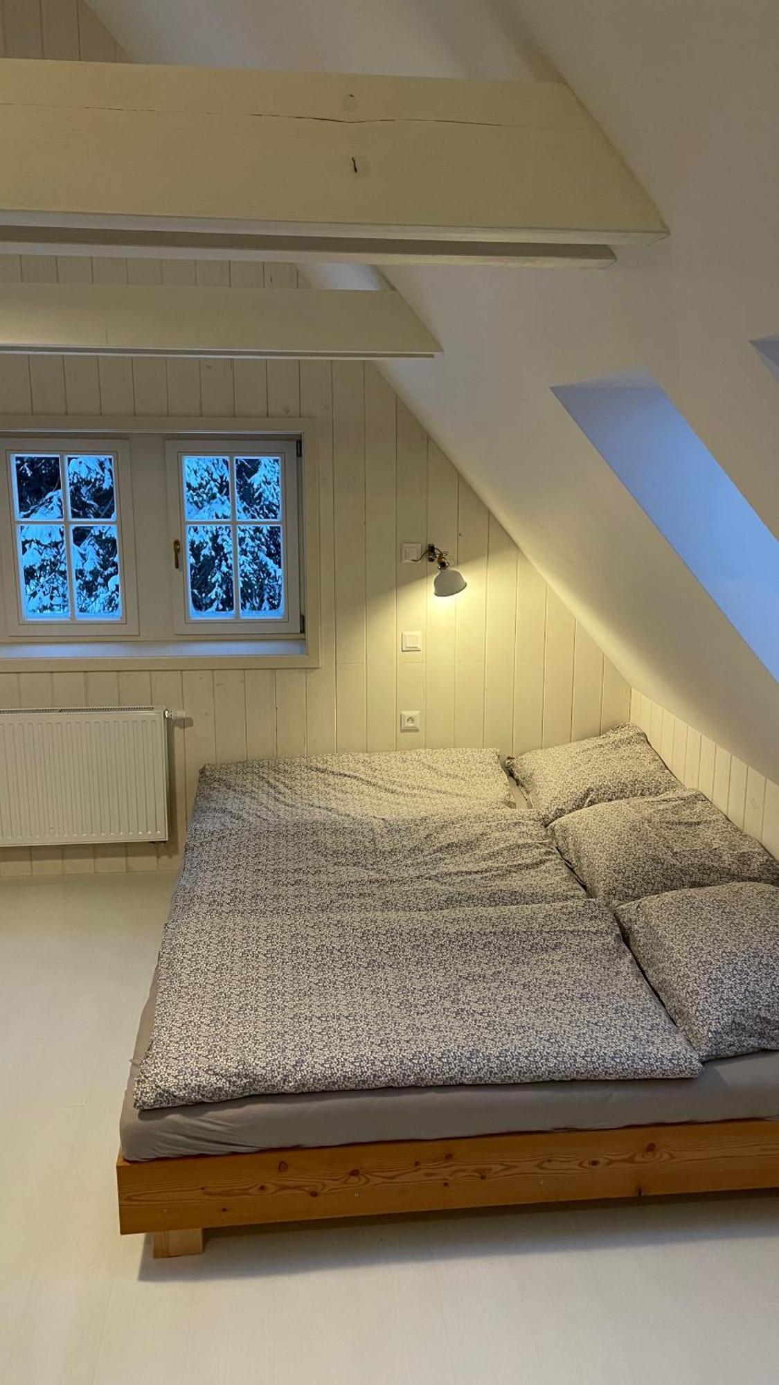 Izerina Cottage Horní Maxov 外观 照片